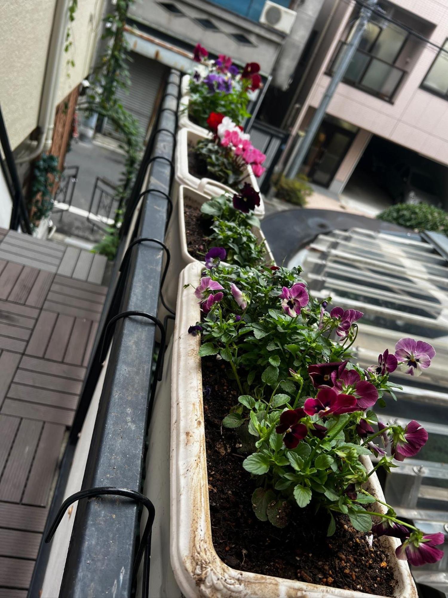 Ayaka's House 東京都